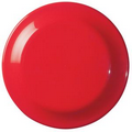 Plastic Flying Disc